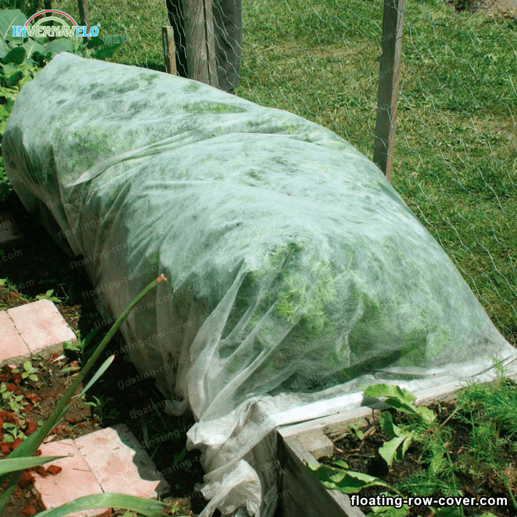 Frost blanket on samll garden