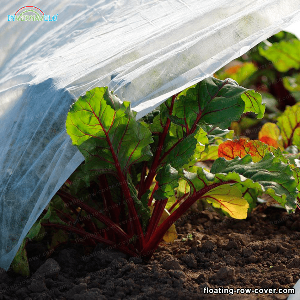 floating seedling row cover 